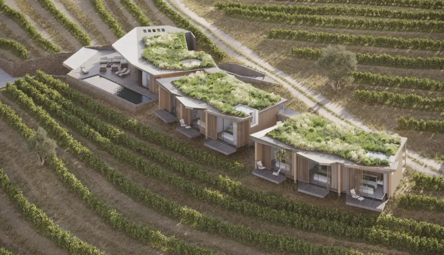 casa saramagayo enquadrada na paisagem vinica do vale do douro numa vista aeria e lateral