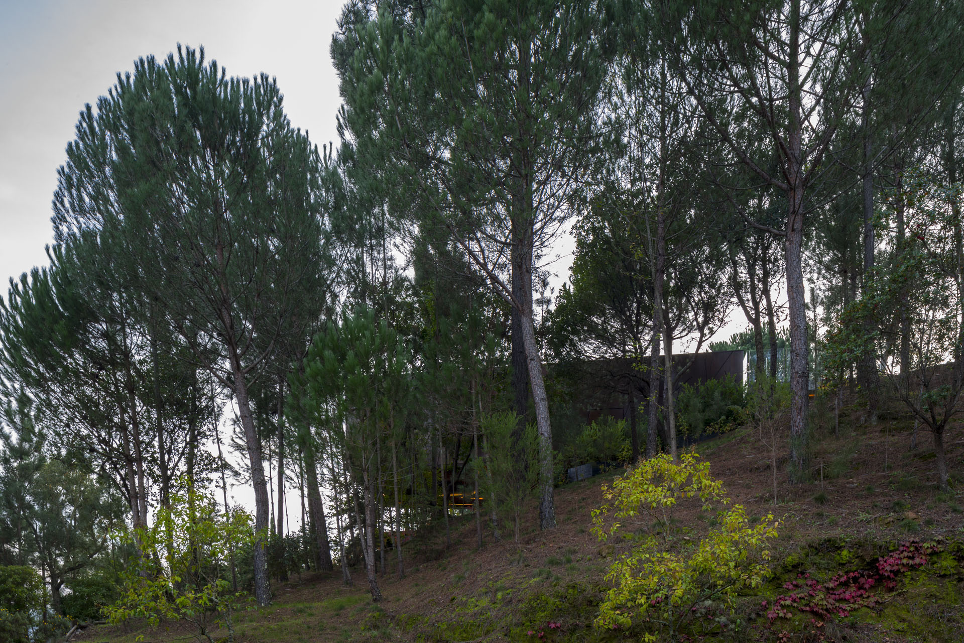 mjarc arquitectos - casa vale douro 