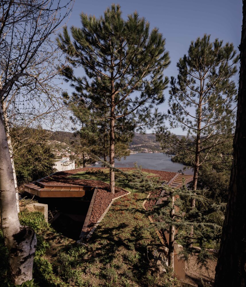 douro wood house, design featuring a green roof, mjarc arquitetos