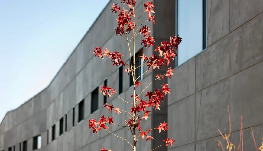 centro renal mirandela
nordial medical center