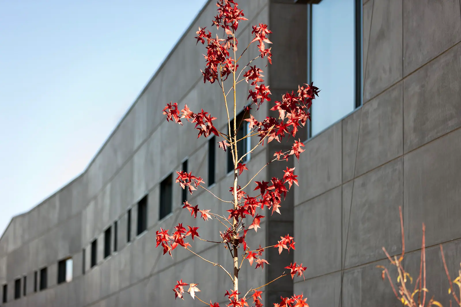Arquitetura e Felicidade: Como os Espaços que Habitamos Moldam o Nosso Bem-Estar