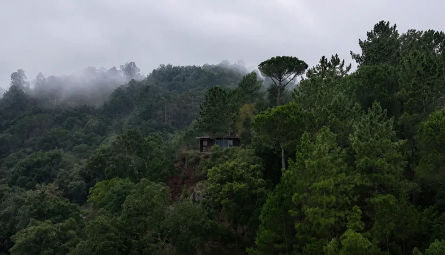 Douro Wood House by MJARC Arquitetos, um projeto integrado na paisagem com respeito ao existente