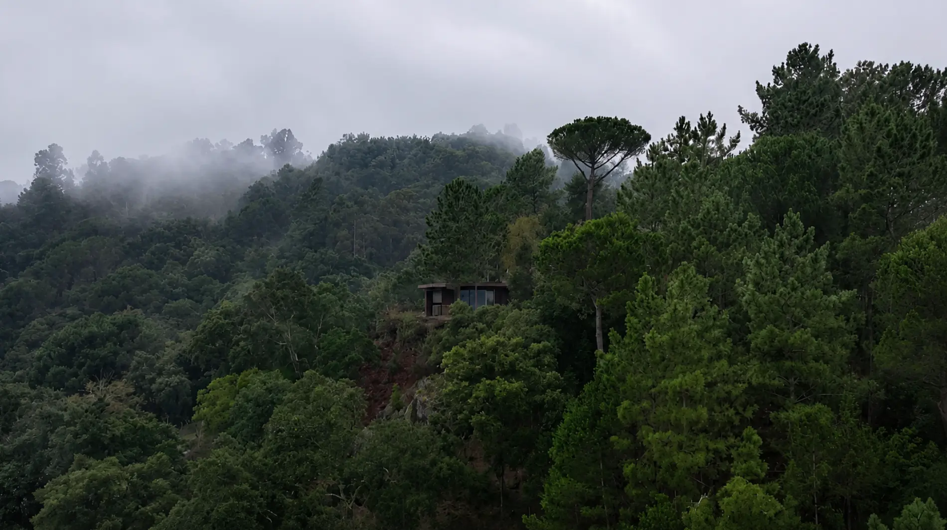 Como a Arquitetura Pode Proteger a Natureza