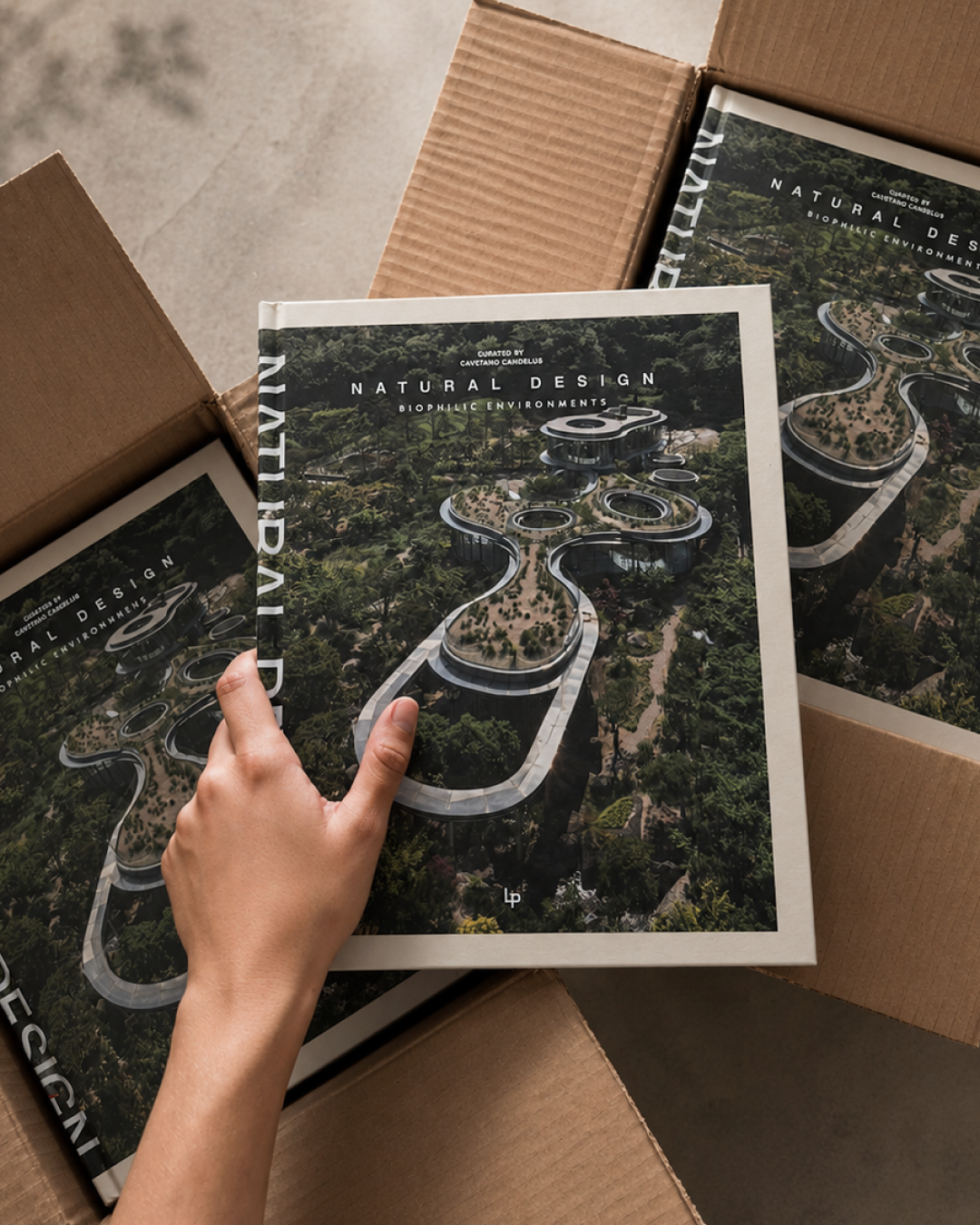 Douro Wood House no livro Natural Design: Biophilic Environments